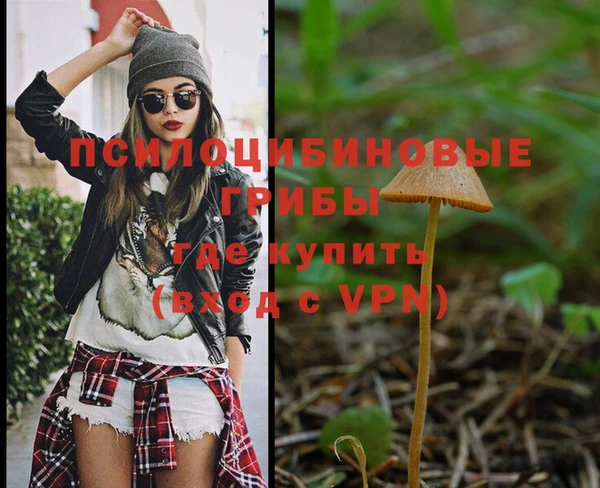 стафф Алексеевка
