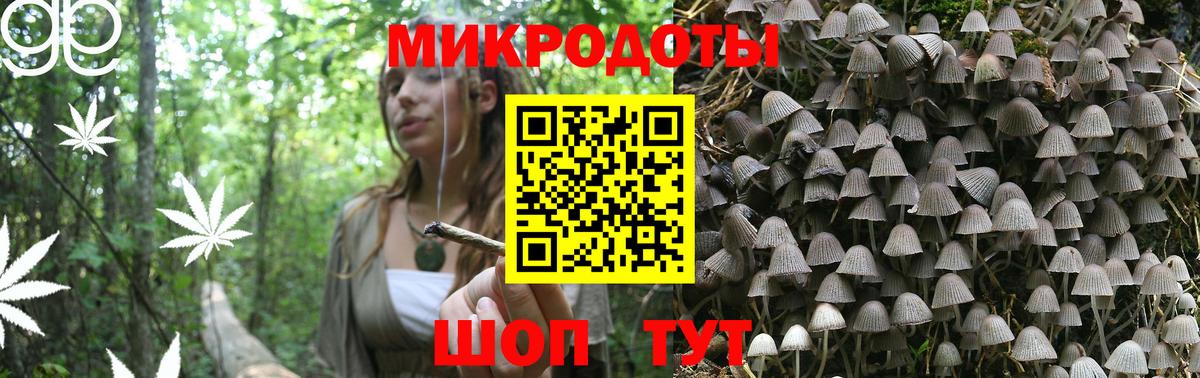 Старый Оскол  Псилоцибиновые грибы Psilocybine cubensis  Вход с VPN 